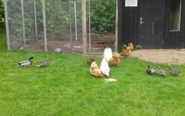Billund Farm Holiday