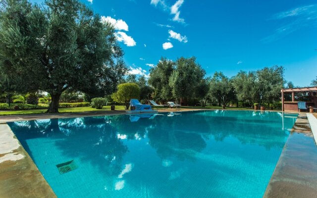 Villa les Oliviers - A Setting of Tranquility