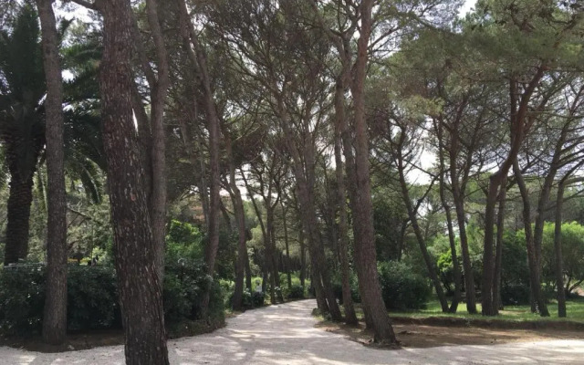 Csa Hotel Beach & Park