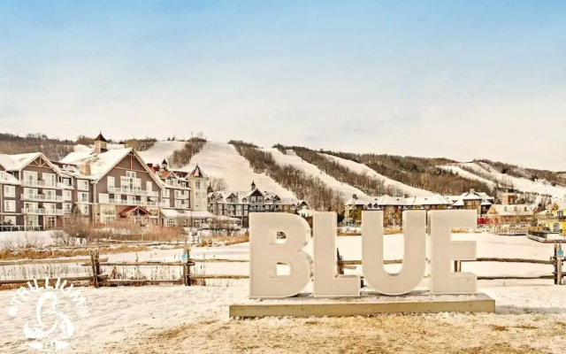 Blue Mountain Suites