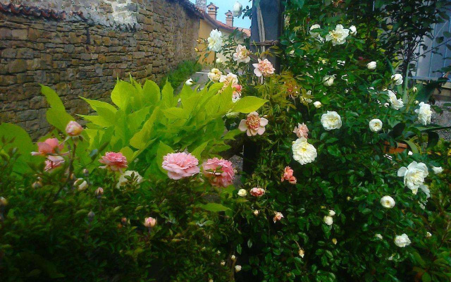 B&B Il Glicine