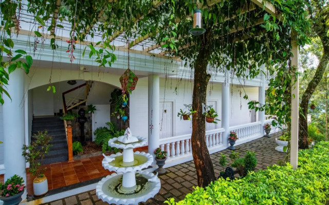 Tea Harvester Munnar