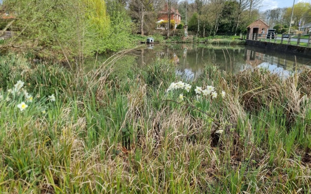 Gorgeous 1-bed Apartment in Wetwang, Driffield