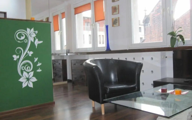 WROCLOVE APARTMENTS - Old Town ZAMGŁAWIANIE - OZONOWANIE