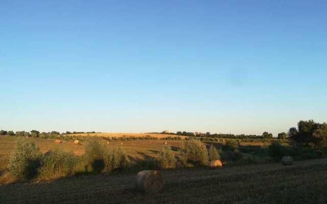 VILLA in TUSCAN MAREMMA. SEA&COUNTRYSIDE CAPALBIO Holiday home 8 BestS