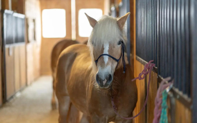 Potcoava Mountain Hideaway