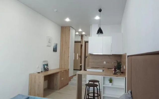 Studio apartments on 41 Tolstogo Street