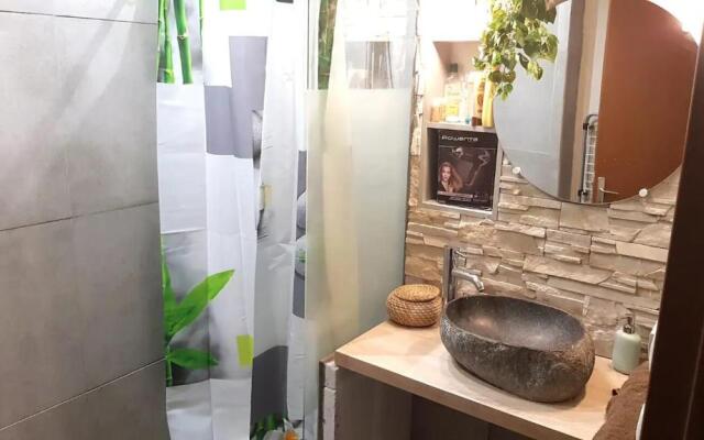 LE PETIT SIAM Appart 2 PIECES ZEN CENTRE VILLE