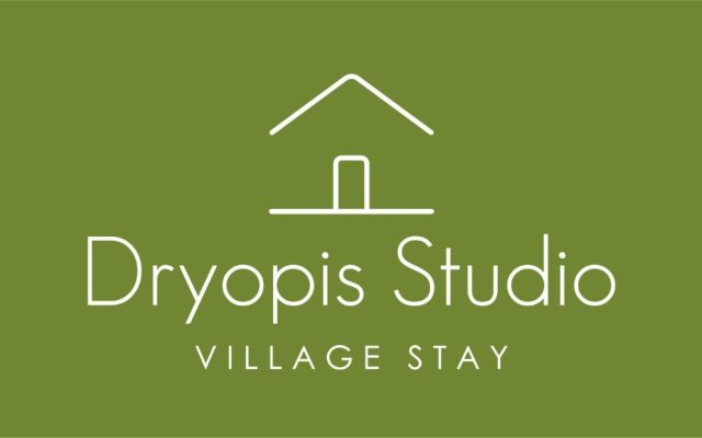 Dryopis Studio