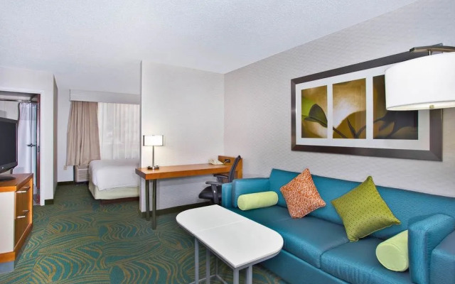 SpringHill Suites by Marriott Chicago Southwest at Burr Ridge/Hinsdale
