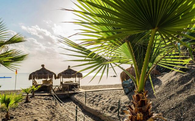 Robinson Camyuva - Adults only