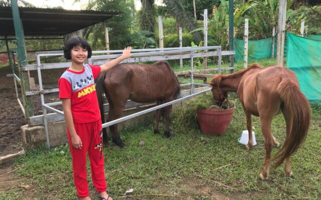 Phang nga farmstay