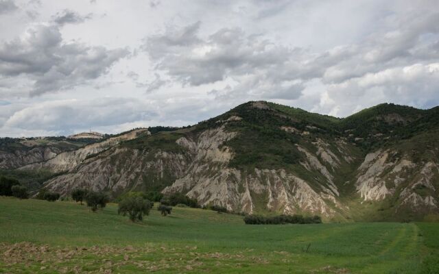 Società Agricola Zucchera S.S.