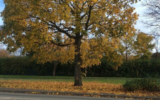 Derwent Walk Bed and Breakfast