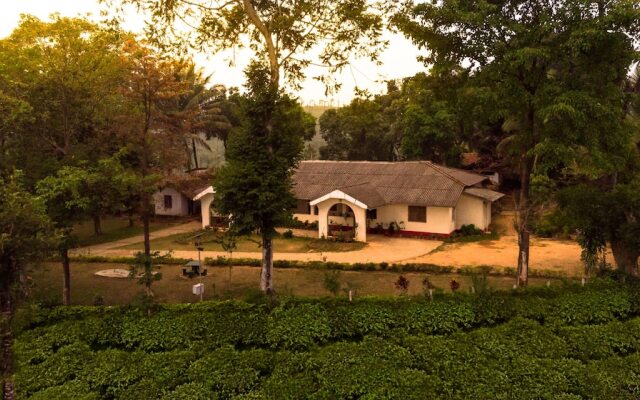 Ama Plantation Trails , Coorg