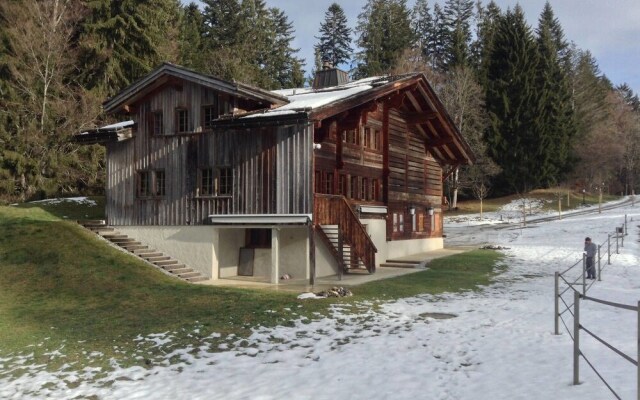 Gstaad - Great Luxurious Farmhouse