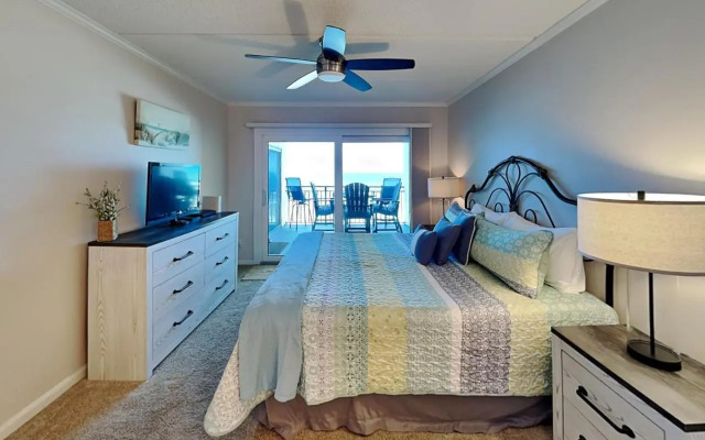 Windjammer 316