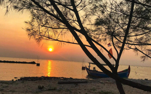 Seabirds Bed and Breakfast