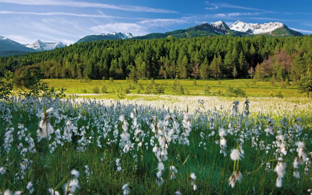 Residence Biancaneve