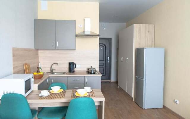 DZirconia Elagin Island Apartments