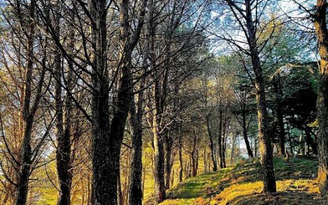 Case Vacanze Farinella