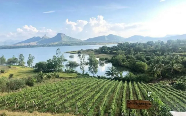Vallonne Vineyards