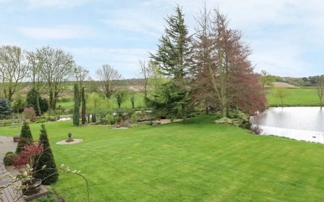Pond View