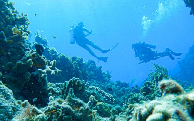 Occidental Cozumel - All Inclusive