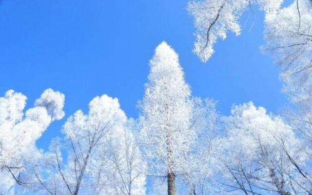 Rosy Town Holiday Apartment Changbai Mountain Mingzhu