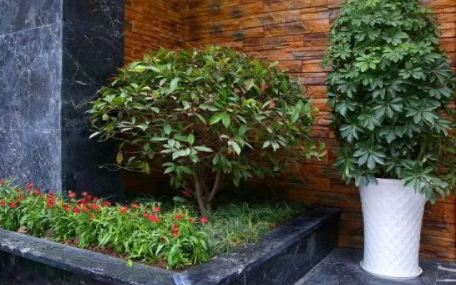 Ruiyuan Hotel (Zhangjiajie West High-speed Railway Station) – Outside – Zhangjiajie
