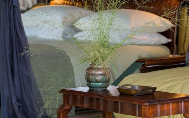Thornybush Saseka Tented Camp