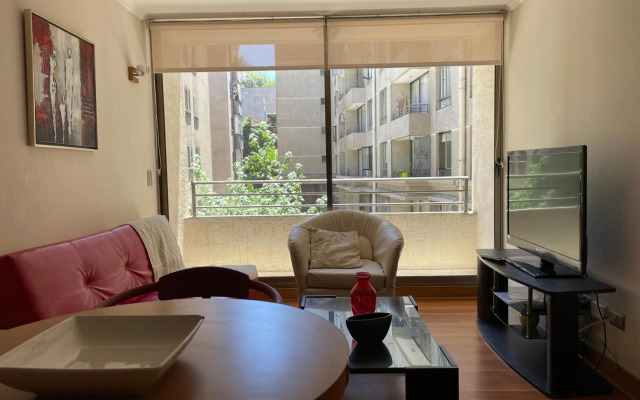 Santiago Lastarria Apartment