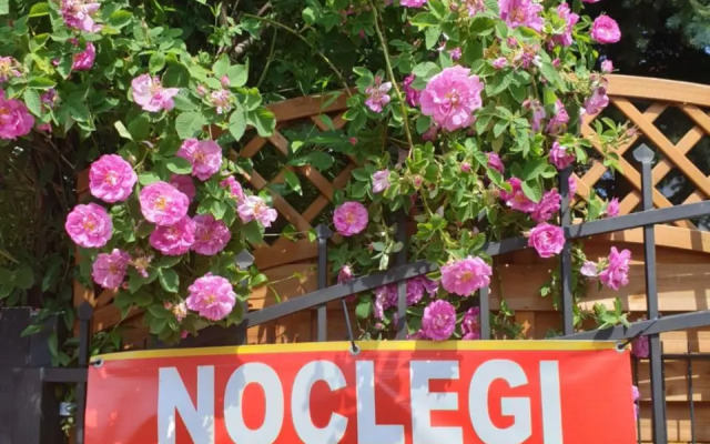 Noclegi u Lili