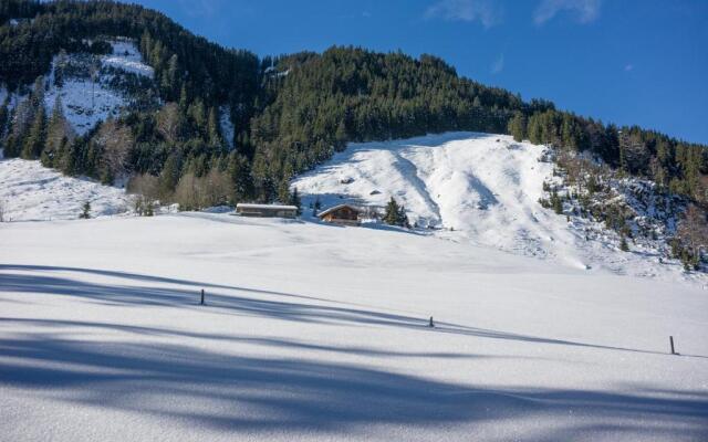 Chalet Ursteinhütte