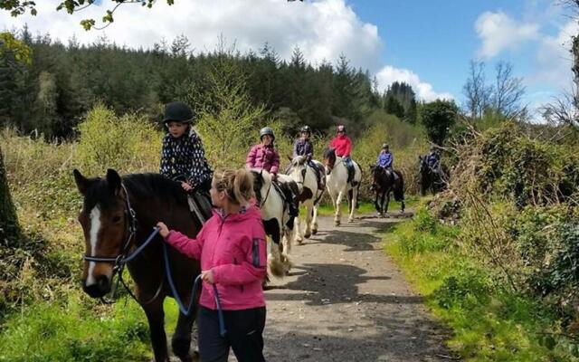 The Downshire Arms Apartments Hilltown