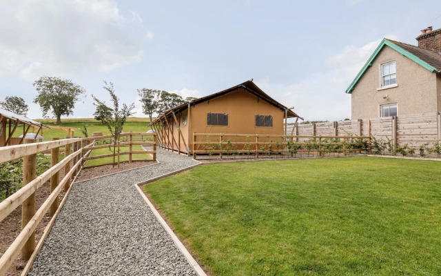 Lucky Clucky Lodge