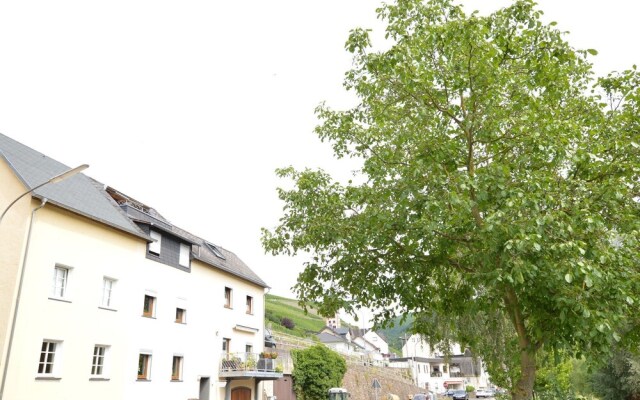 Comfortable Apartment in Zell Near Moselle River
