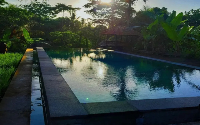 Ubud Sari Health Resort