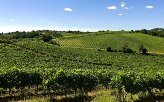 Elegant Apartment in Castelfiorentino With Swimming Pool