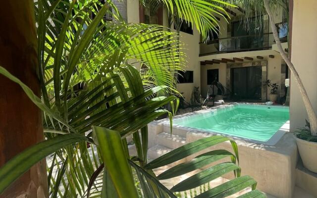 Macondo Raíz Holbox