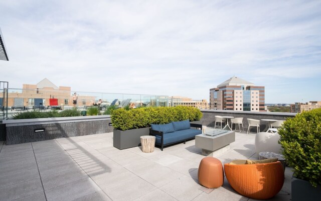 Gorgeous 1Br at Clarendon With Gym