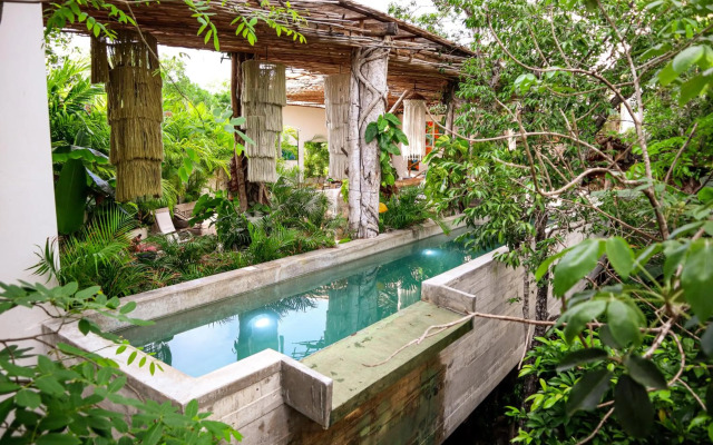 Orchid House Tulum Jungle