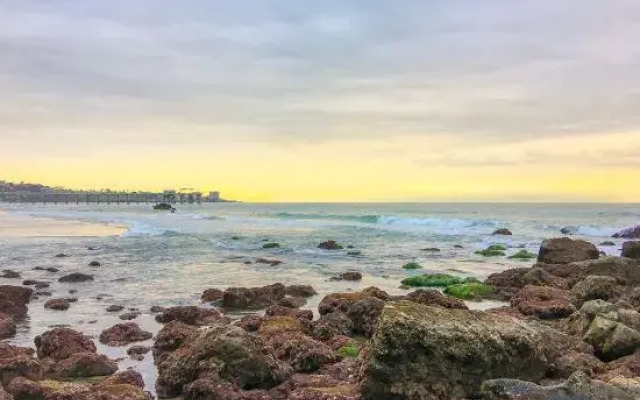 Free and Easy Guesthouse