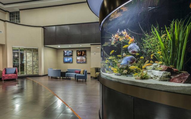Springhill Suites by Marriott Waco Woodway