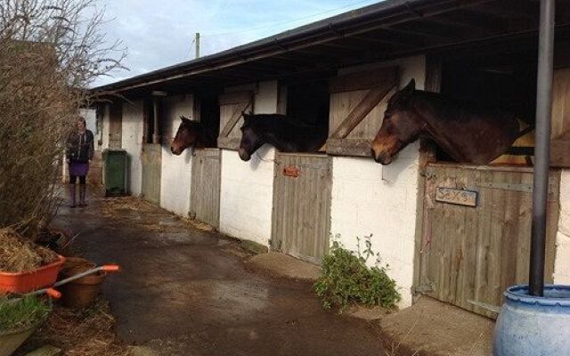 Swallows Rest