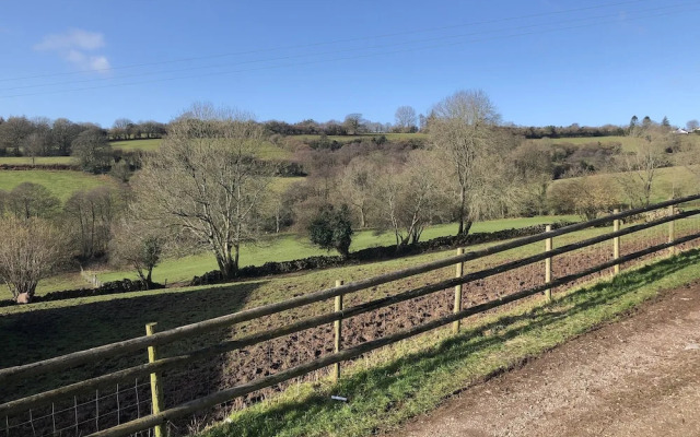 Welsh Marches at Upper Glyn Farm