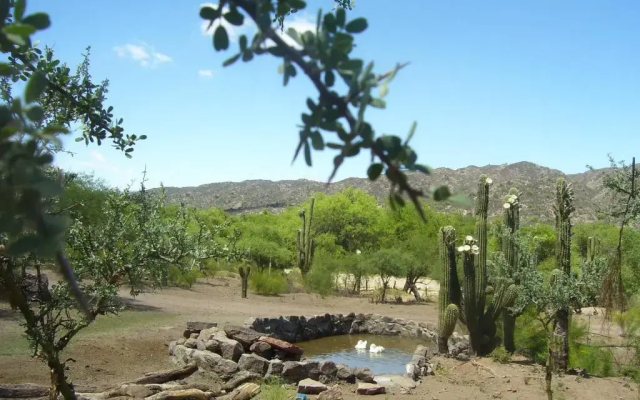 Finca Puesta del Sol