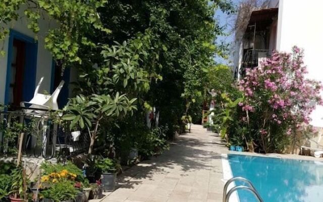 Nursu Apartments