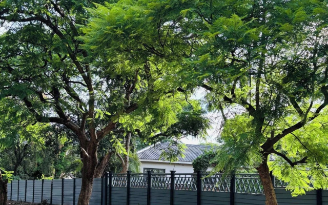 Mpande - The Roots Your Home Away From Home