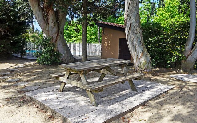 Paradise OciÂ©an 31147